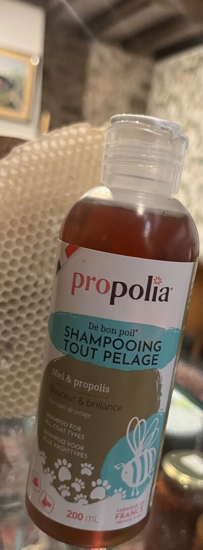 Shampoing tout pelage - Miel & Propolis